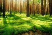 世界举重康复在线课堂季度最佳课堂评选结果公布，世界举重视频