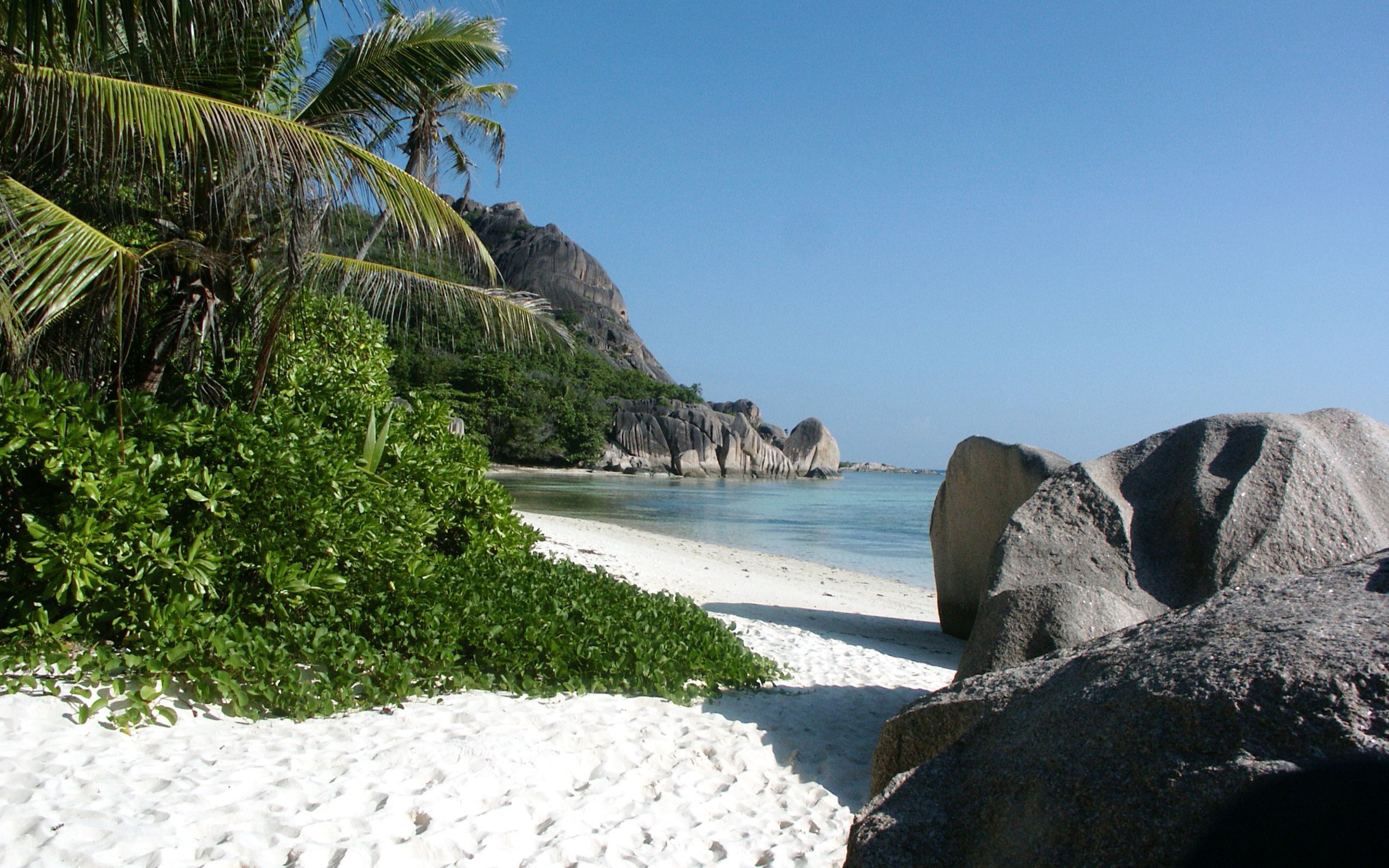 2026年亚洲龙舟城市联赛总决赛 中国多支队伍会师四强,龙舟比赛亚运会